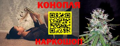 Альфа ПВП Нальчик