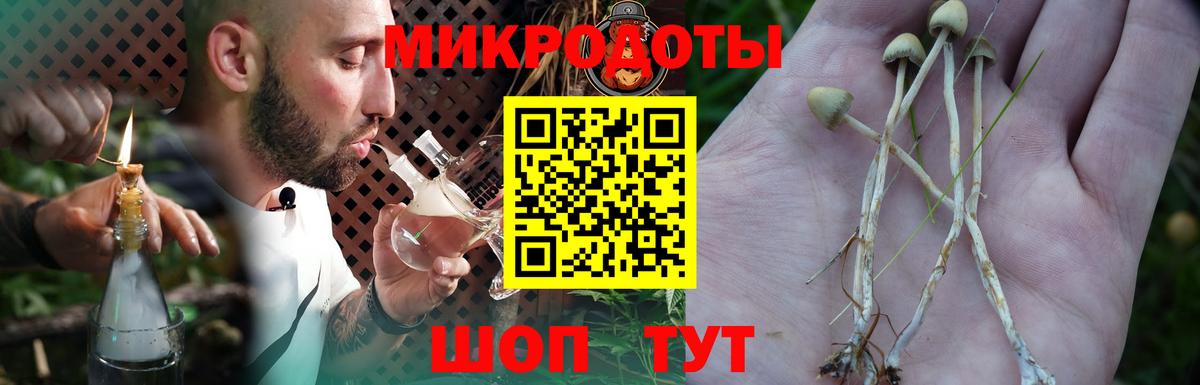 Псилоцибиновые грибы MAGIC MUSHROOMS  Вход с VPN  Ухта 